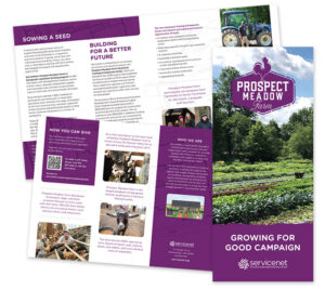 Campaign Brochure for ServiceNet
