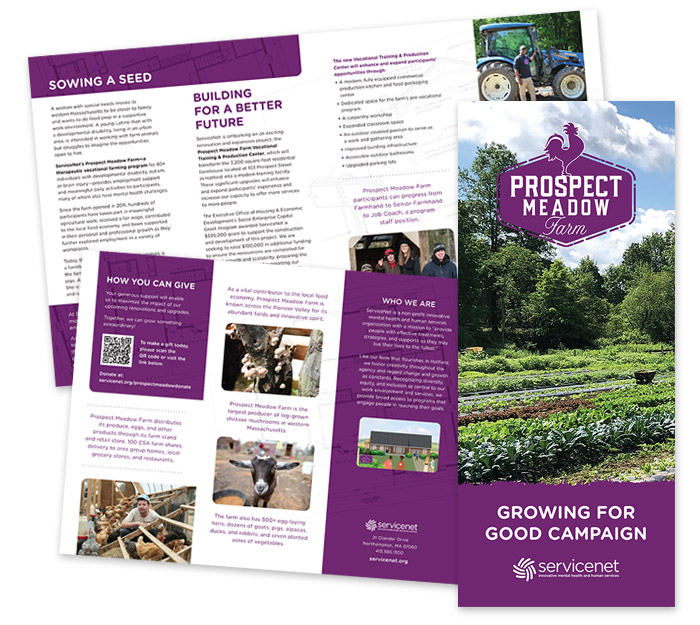 ServiceNet Prospect Farm Brochure